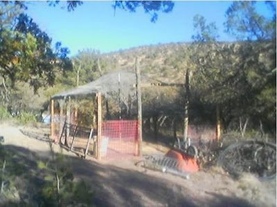 7-2970083