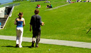 Delft University green roof