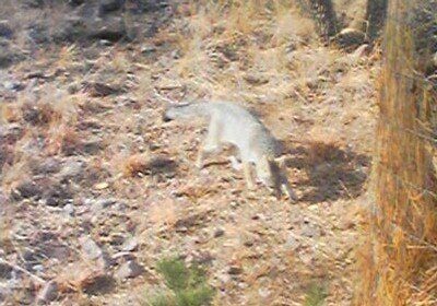 fox04-6614548