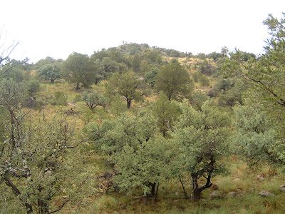 dscf0022-3264954