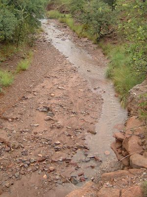 creek2-6172739