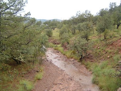 creek3-7963864