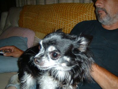 Good News! Pekoe Pix
