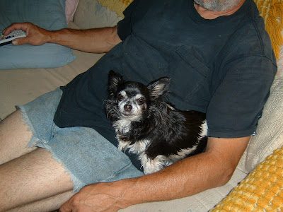 pekoe3-9879790