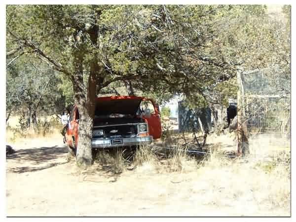 trailer15-7486993