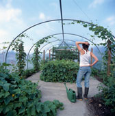 polytunnel-woman polytunnel-woman