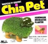 chia-pet-puppy