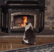 pellet stove pellet stove