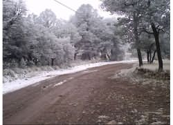 Winter Road