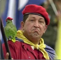 hugo_chavez_parrot Chavez - joke's over