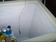 Freezer-fridge conversion