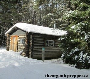 cabin-in-the-woods-300x265-4423007