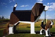 Dogwoof, amazing tourist hangouts