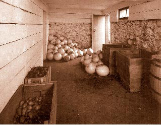 root-cellar1