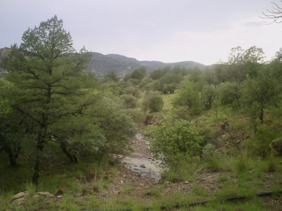 PICT0161