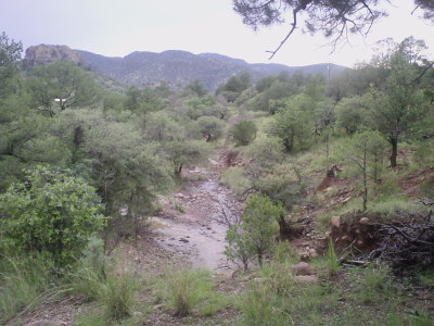 PICT0162