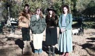 The Grays - Armed and Dangerous - to star on TV