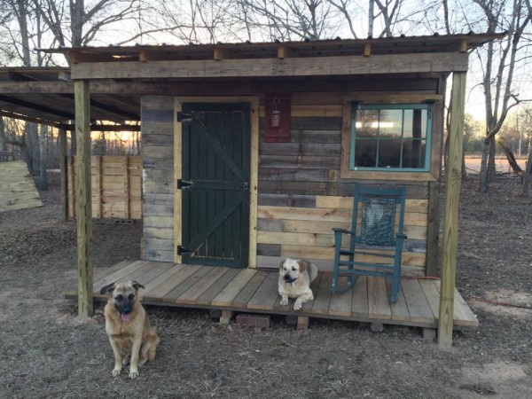 12x12-tiny-cabin01