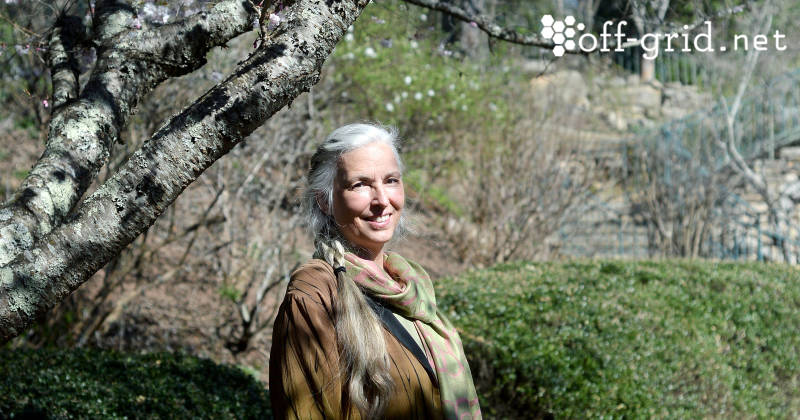 Making a tree sanctuary