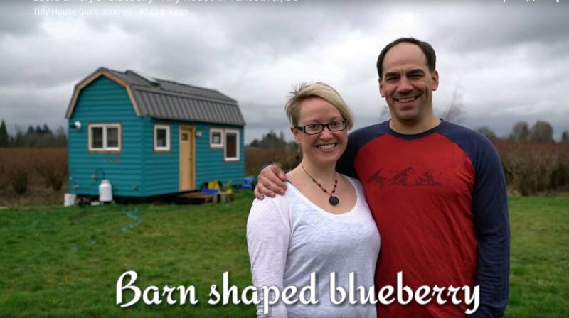 Barn shaped blueberry