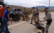 Bureaucracy attacks Rancher