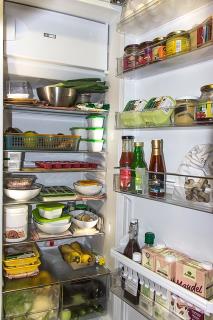 EcoSolarCool, Refrigerator, Solar, Off-grid,