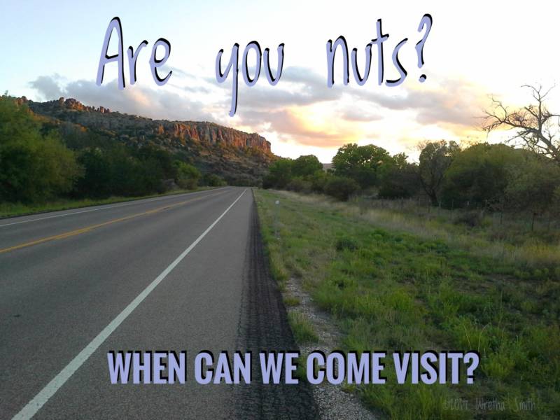 Are you nuts? When can we come visit?