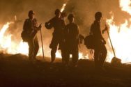 Firemen battle buringing cannabis planatons