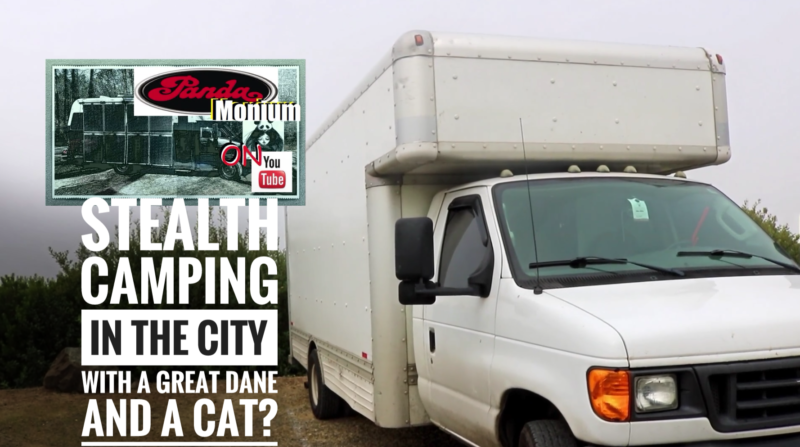 Stealth camping in the city