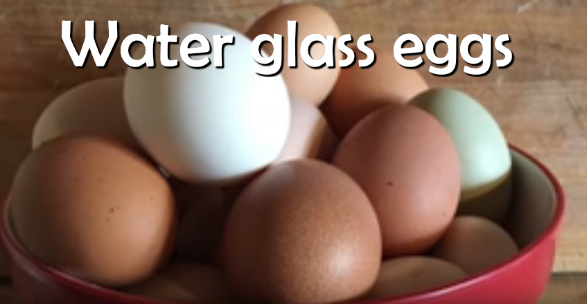 Water glass eggs?