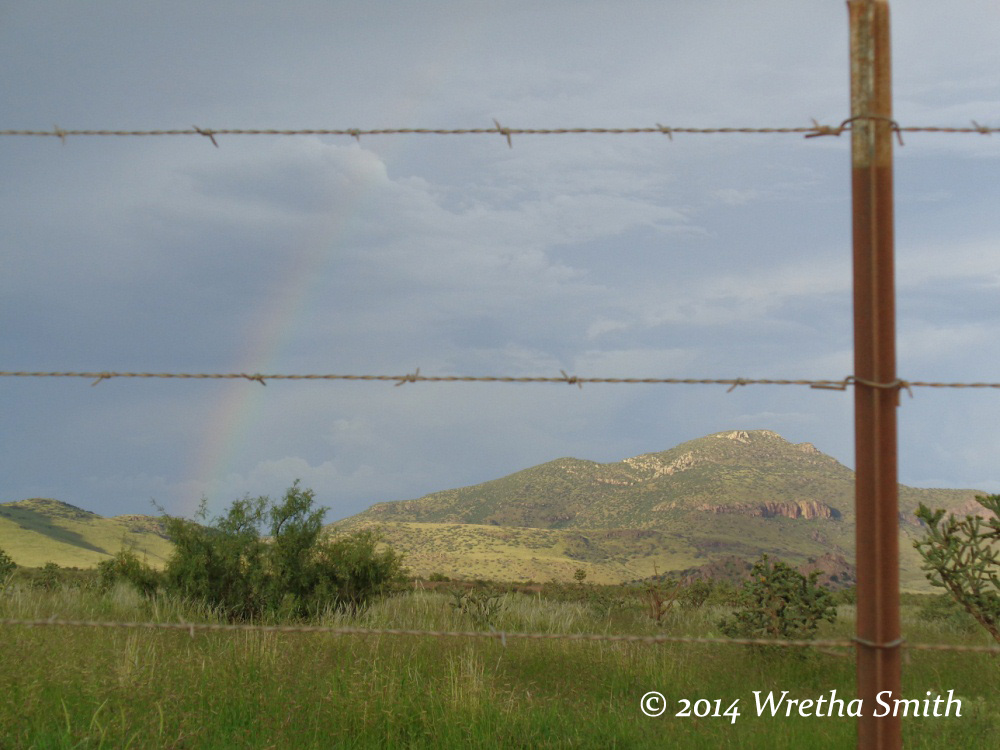 Yes, Texas has mountains…
