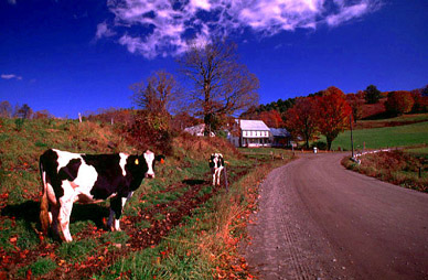 Vermont Home Harnesses Wind
