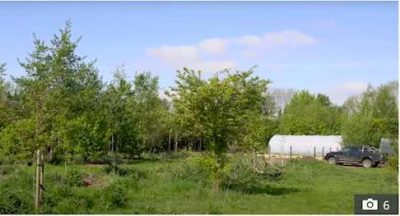 wide view of land with polytunnel