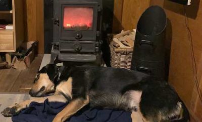 dog-by-fire-on-boat